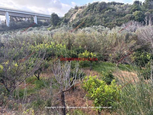 terreno agricolo in vendita a Lascari