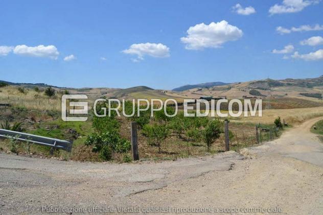 terreno agricolo in vendita a Lercara Friddi