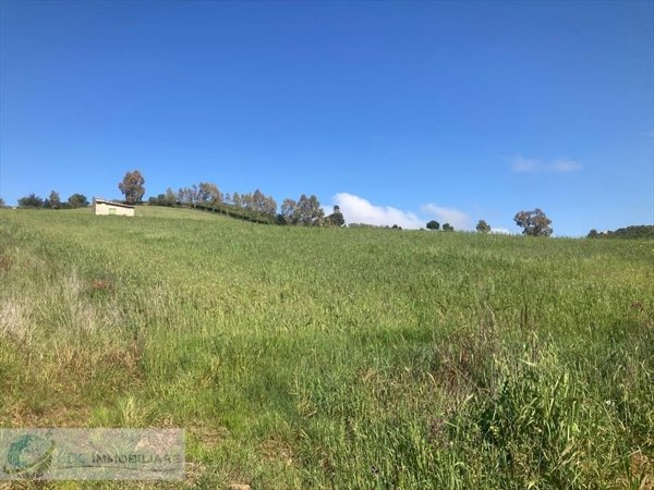 terreno agricolo in vendita a Lercara Friddi