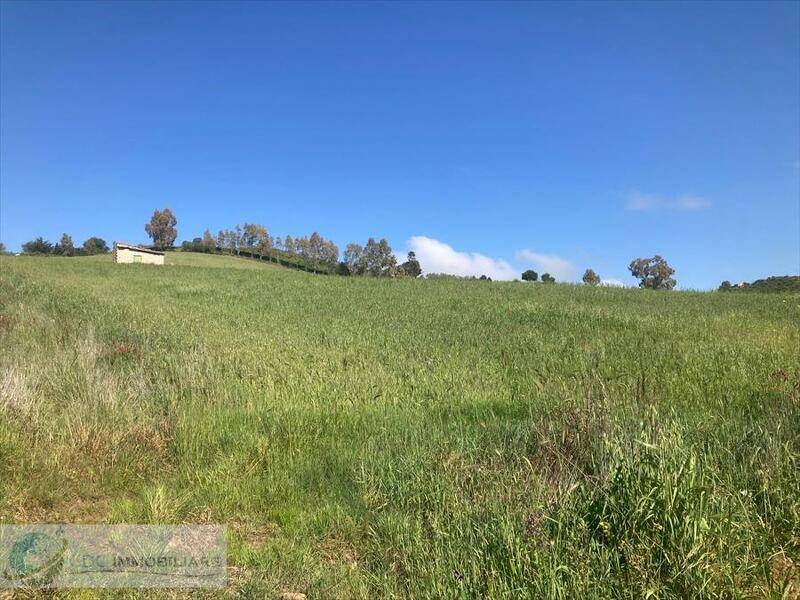 terreno agricolo in vendita a Lercara Friddi