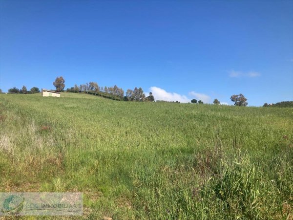 terreno agricolo in vendita a Lercara Friddi