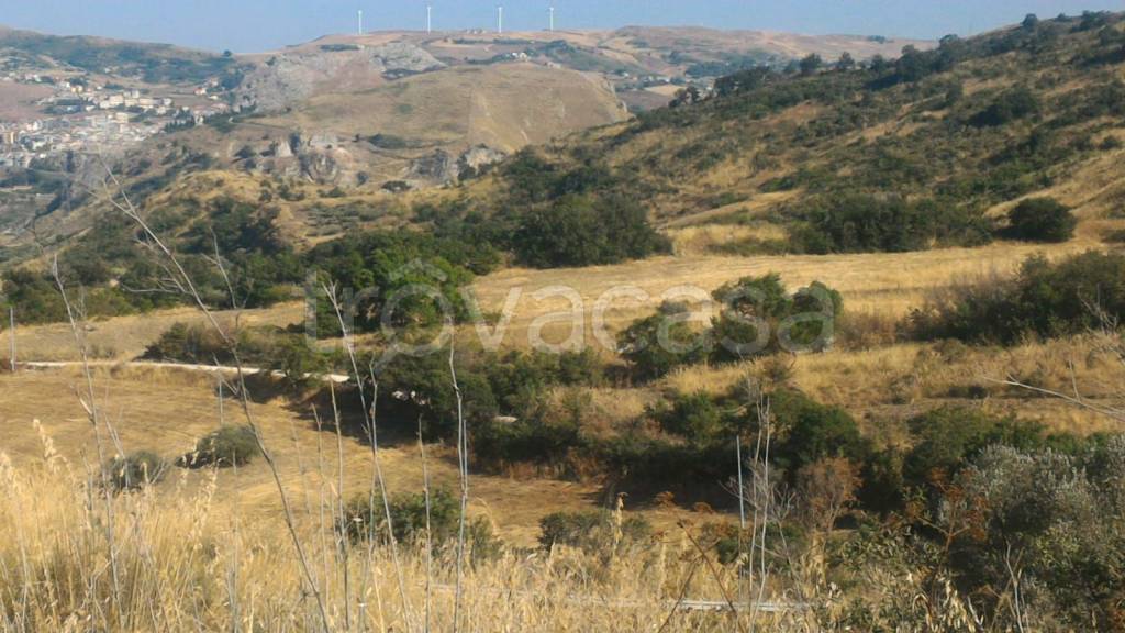 terreno agricolo in vendita a Marineo