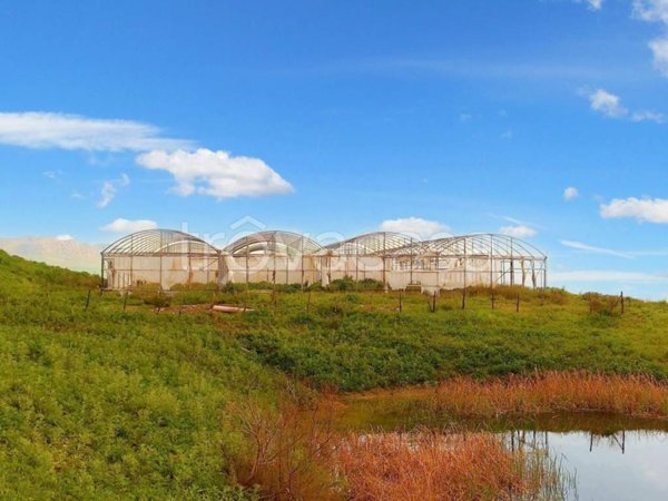 terreno agricolo in vendita a Mezzojuso