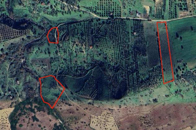 terreno agricolo in vendita a Mezzojuso