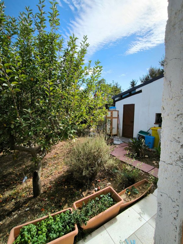 pentavano in vendita a Mezzojuso