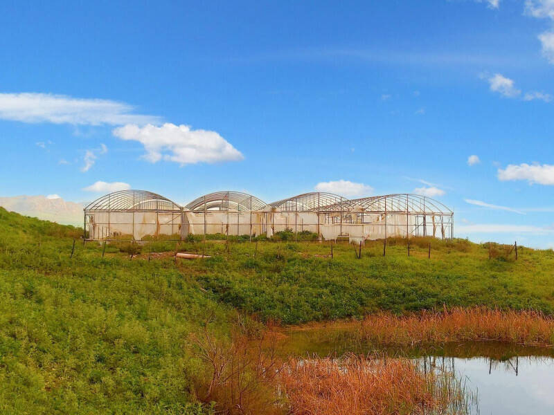 terreno edificabile in vendita a Mezzojuso