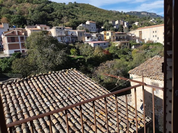 esavano in vendita a Mezzojuso in zona Pignaro