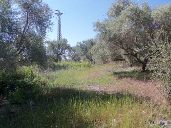 terreno agricolo in vendita a Misilmeri in zona Portella di Mare