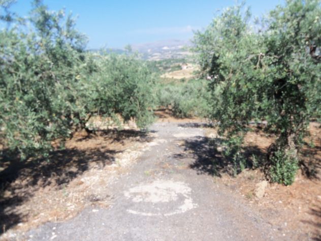 terreno agricolo in vendita a Misilmeri in zona Portella di Mare