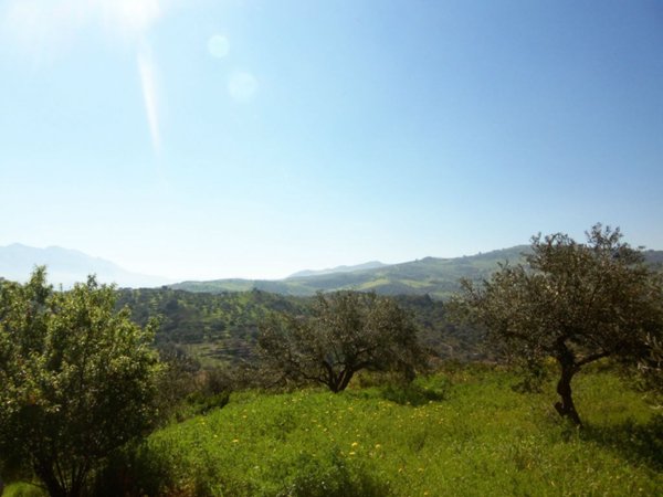 terreno agricolo in vendita a Misilmeri