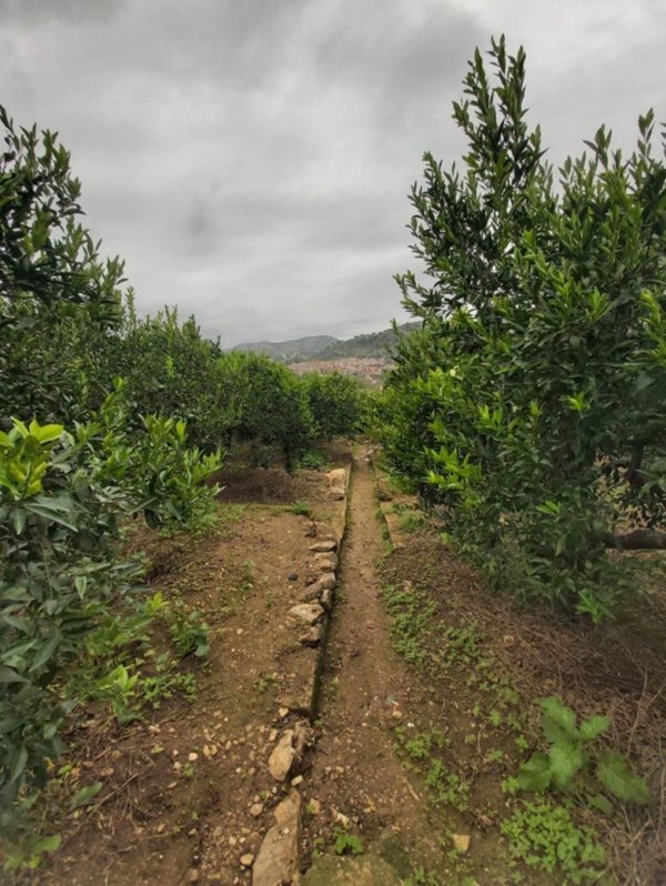 terreno agricolo in vendita a Misilmeri in zona Portella di Mare