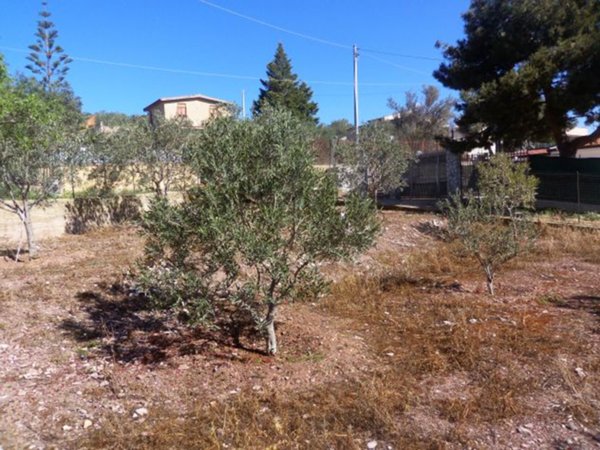 terreno agricolo in vendita a Misilmeri in zona Portella di Mare