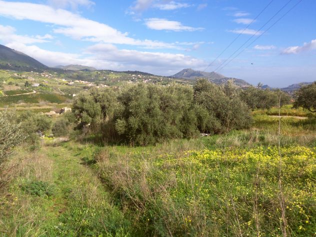 terreno agricolo in vendita a Misilmeri in zona Portella di Mare