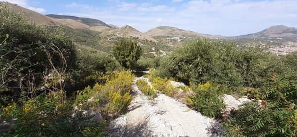 terreno agricolo in vendita a Misilmeri in zona Portella di Mare