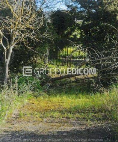 terreno agricolo in vendita a Misilmeri