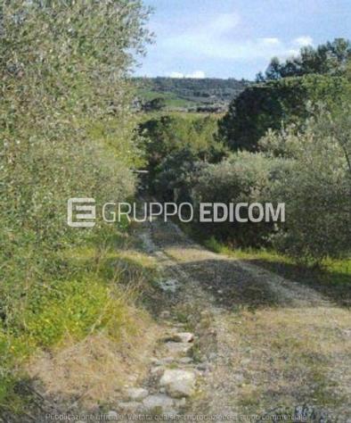 terreno agricolo in vendita a Misilmeri