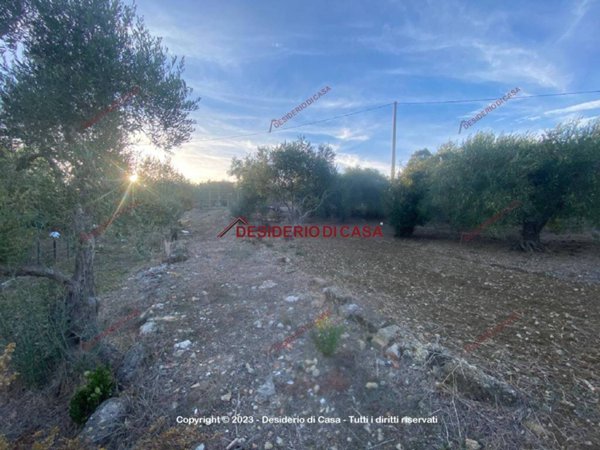 terreno agricolo in vendita a Misilmeri