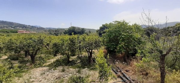 terreno agricolo in vendita a Misilmeri in zona Portella di Mare