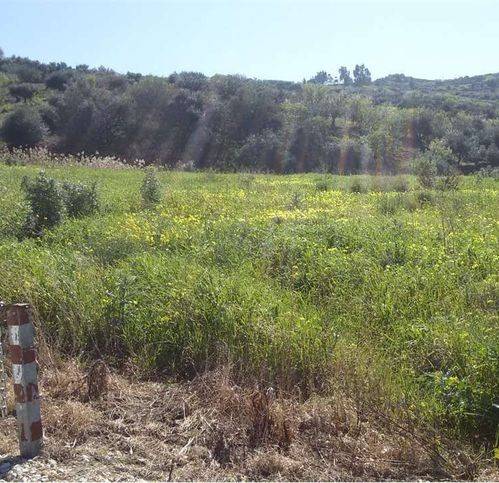 terreno agricolo in vendita a Misilmeri
