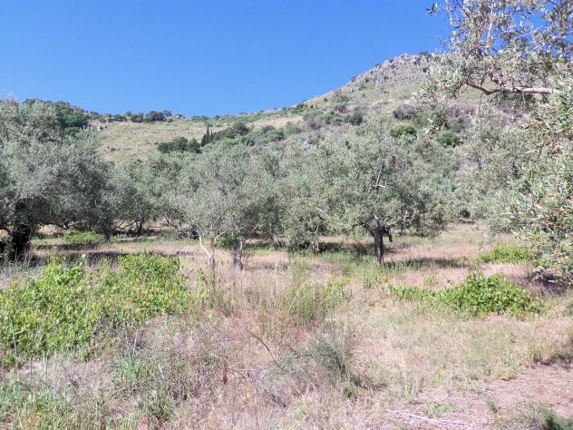 terreno agricolo in vendita a Misilmeri in zona Portella di Mare