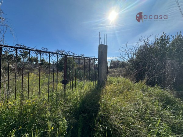 terreno agricolo in vendita a Misilmeri
