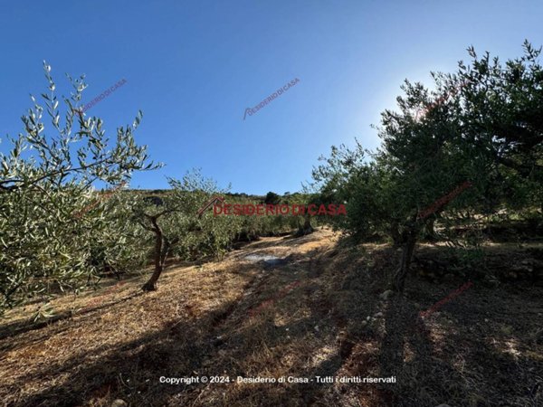 terreno agricolo in vendita a Misilmeri