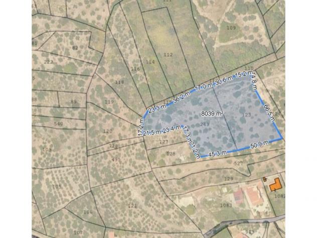 terreno agricolo in vendita a Misilmeri