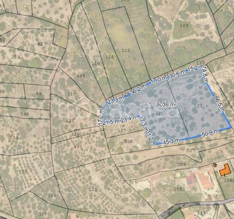 terreno agricolo in vendita a Misilmeri