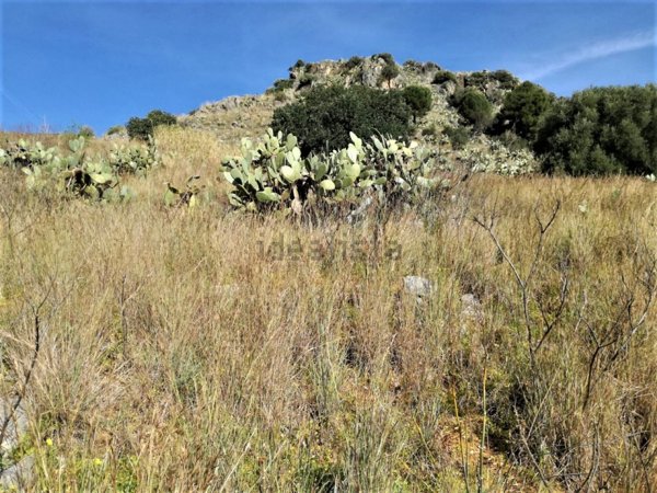 terreno agricolo in vendita a Misilmeri