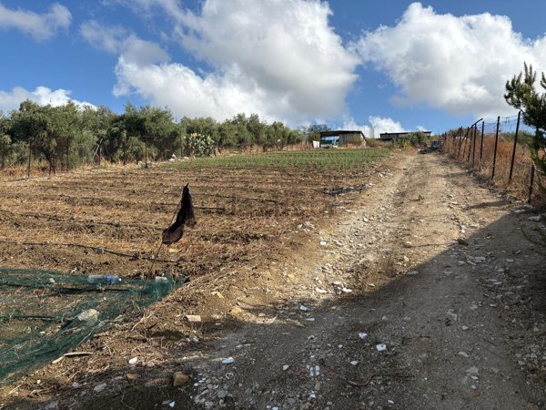 terreno agricolo in vendita a Misilmeri