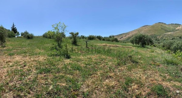 terreno agricolo in vendita a Misilmeri