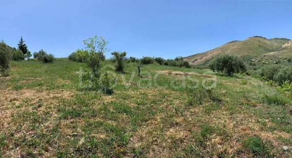 immagine annuncio 0 di 5