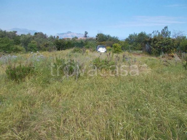 immagine annuncio 0 di 3