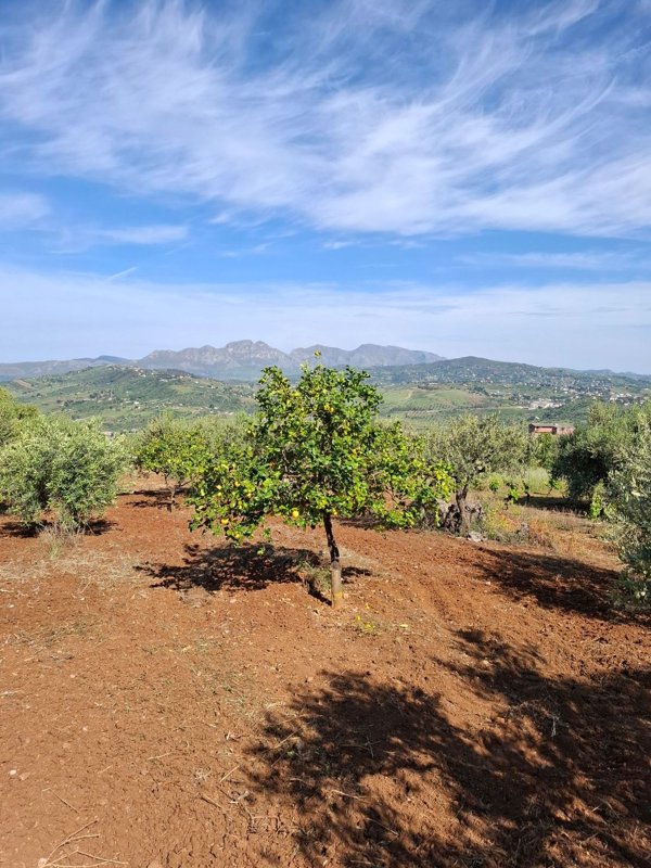 terreno agricolo in vendita a Misilmeri