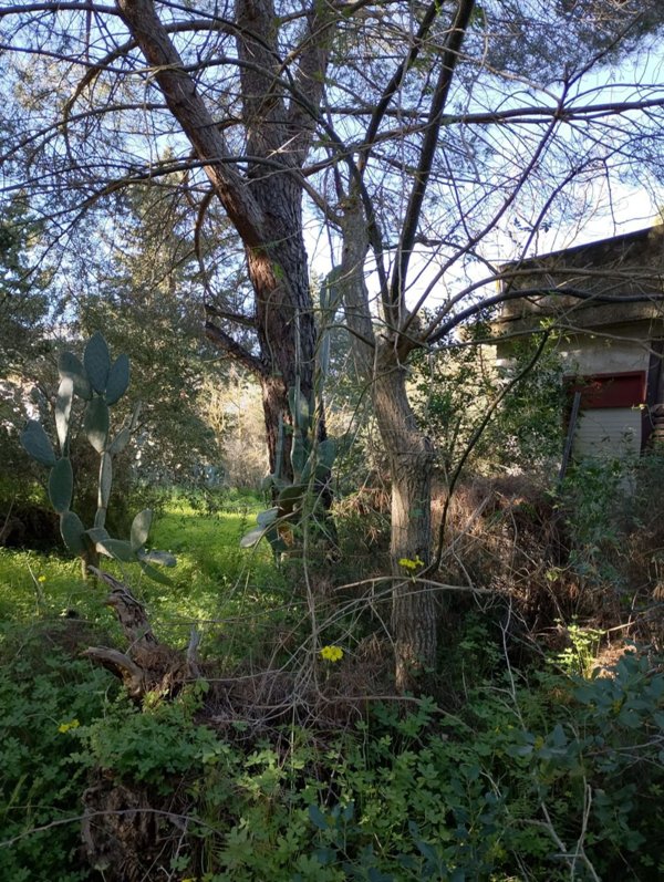 casa indipendente in vendita a Misilmeri