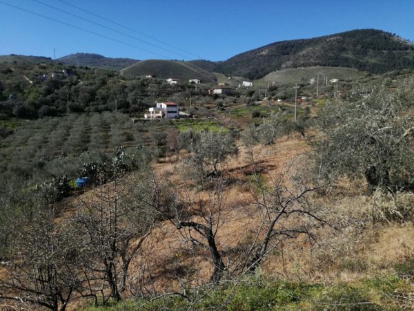 terreno agricolo in vendita a Misilmeri