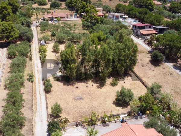terreno agricolo in vendita a Misilmeri