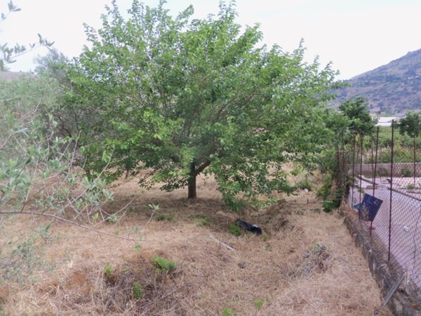 terreno in vendita a Misilmeri