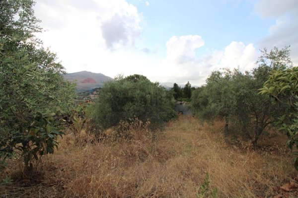 terreno agricolo in vendita a Misilmeri