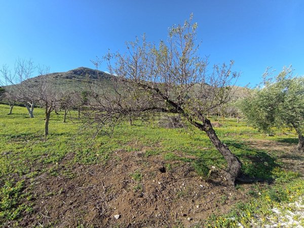 terreno in vendita a Misilmeri