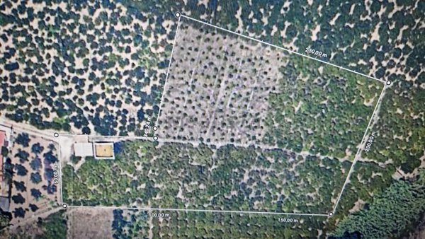 terreno in vendita a Misilmeri