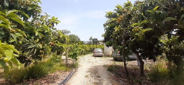terreno in vendita a Misilmeri