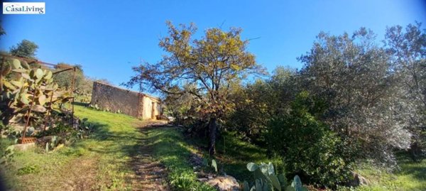 terreno edificabile in vendita a Monreale in zona Monte Caputo