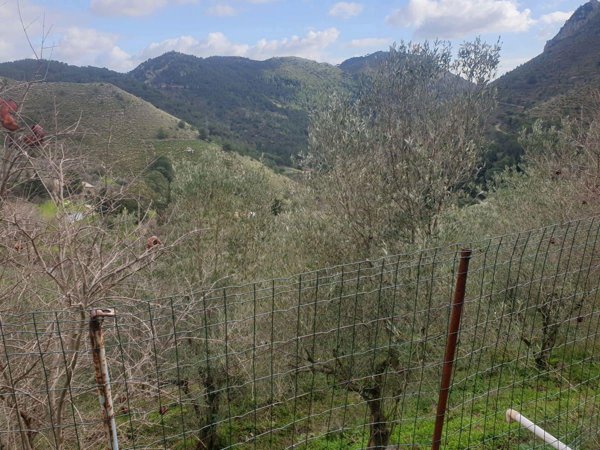 terreno agricolo in vendita a Monreale in zona San Martino delle Scale