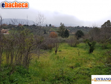 appartamento in vendita a Monreale