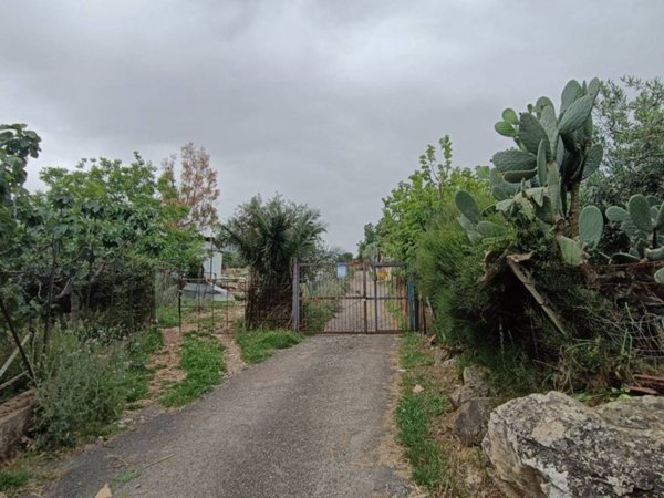 terreno agricolo in vendita a Monreale