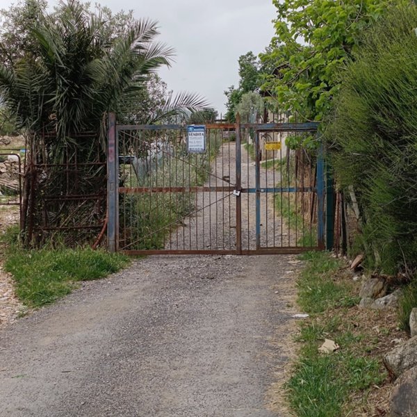 terreno agricolo in vendita a Monreale