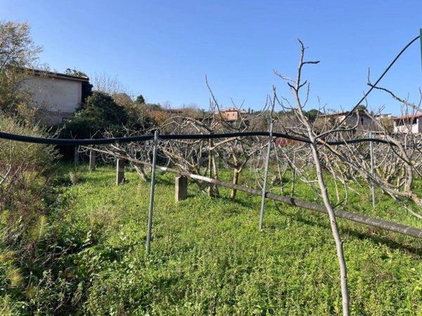 terreno agricolo in vendita a Monreale in zona Pioppo