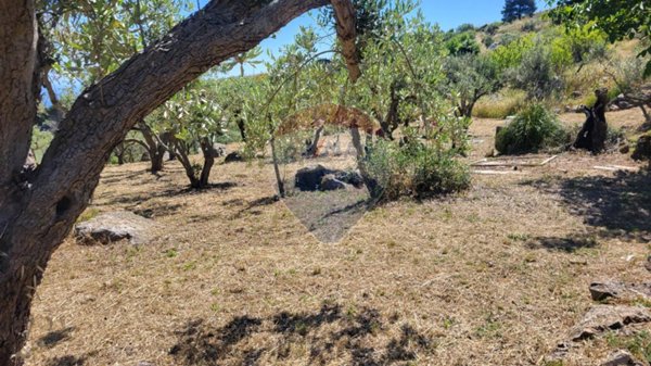terreno agricolo in vendita a Monreale in zona Monte Caputo