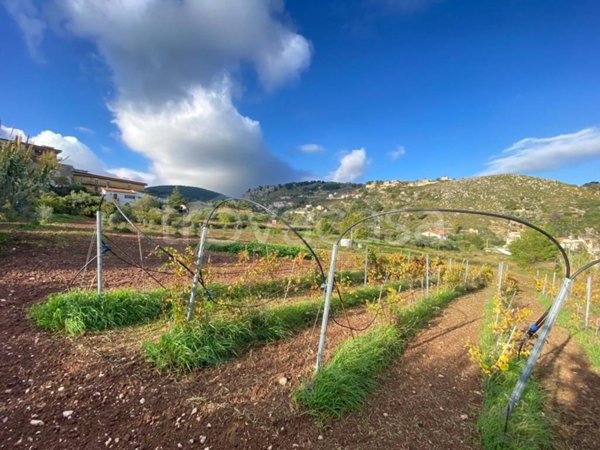 terreno agricolo in vendita a Monreale in zona Pioppo
